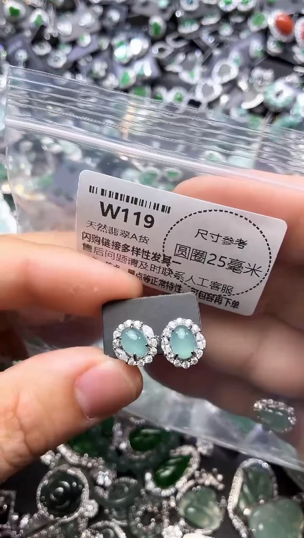 翡翠未镶嵌颈饰W119耳钉