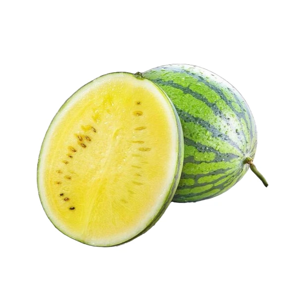 【来此购专属】小凤西瓜一个