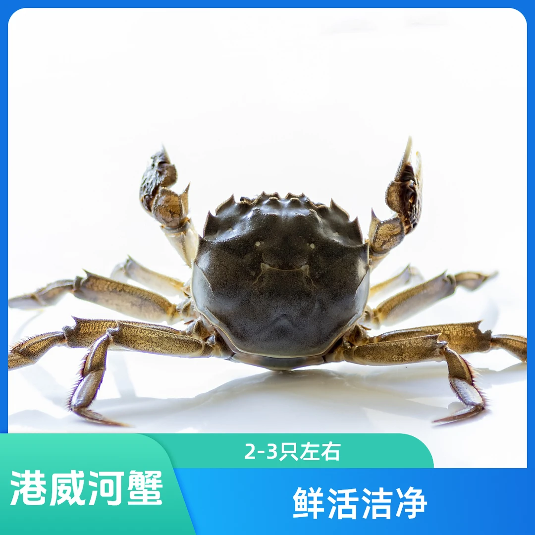 【港威海鲜】河蟹4两公-1斤装--2-3只左右