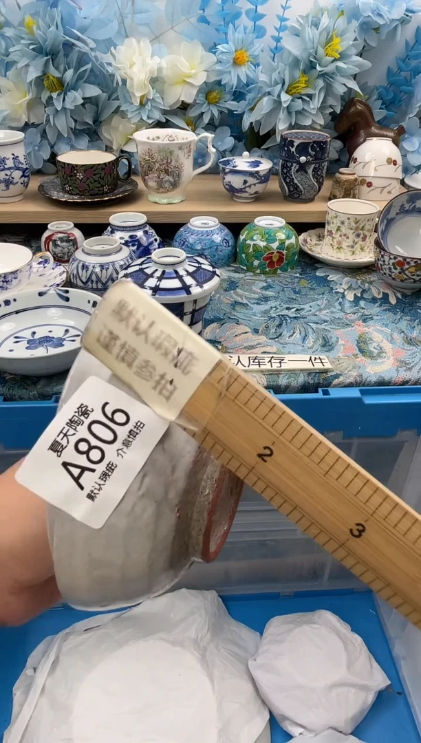 瓷片苏*洁806+2默认微瑕 闪购默认库存一件