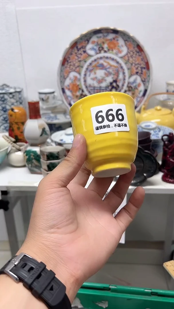 瓷片w**-666............