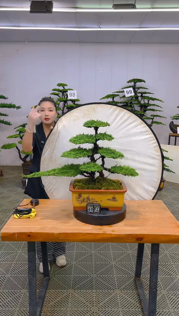 无花朵一物一拍一物一拍