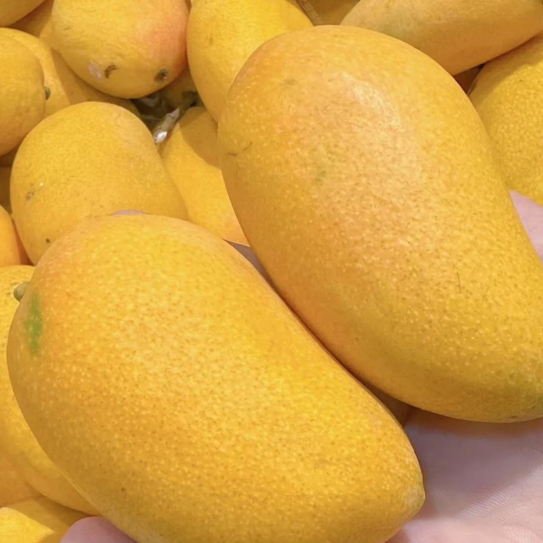 【果果优品】小台芒芒果约 1斤芒果同城送