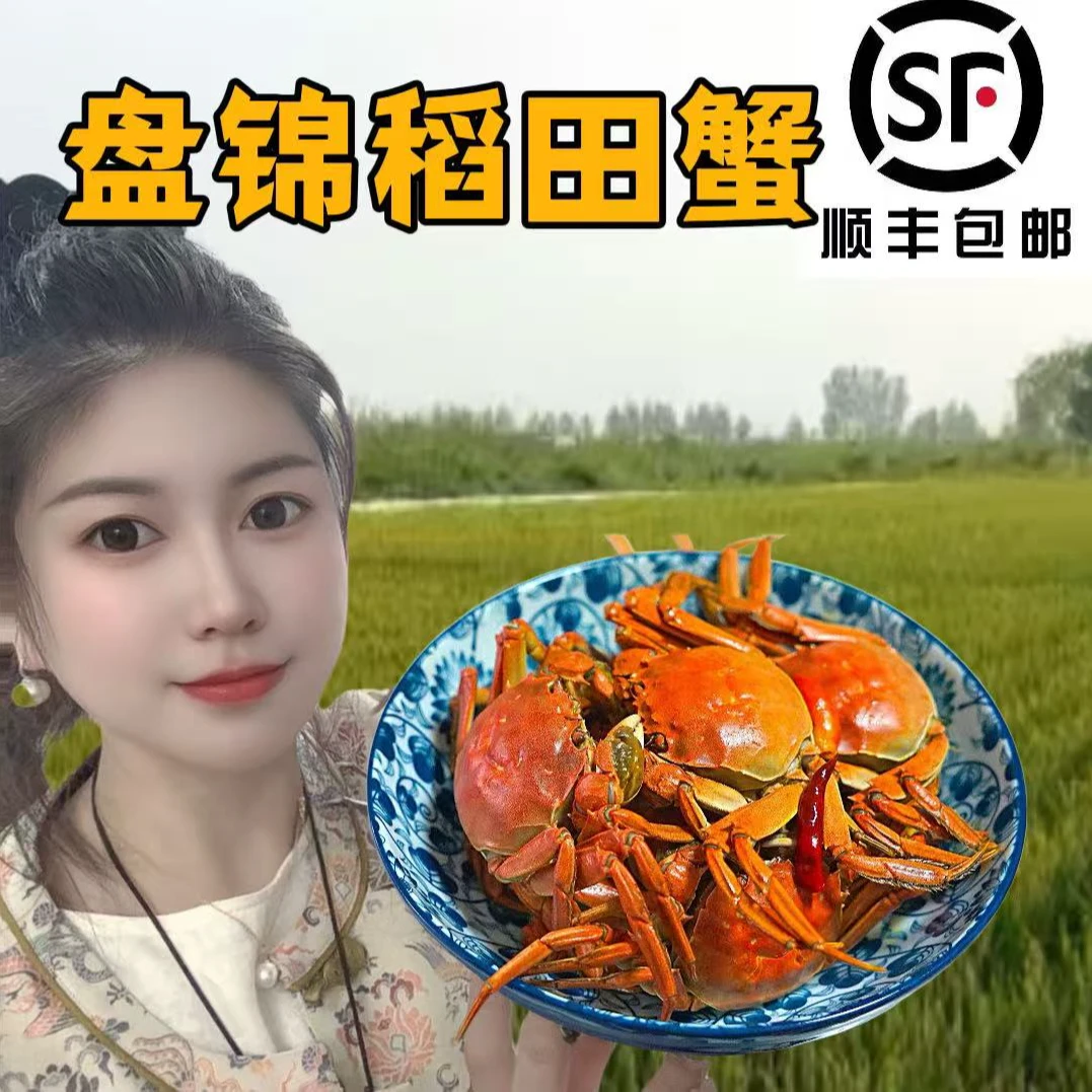 【活蟹】盘锦河蟹1-1.3两全母3斤（29只左右）下单送2斤公蟹
