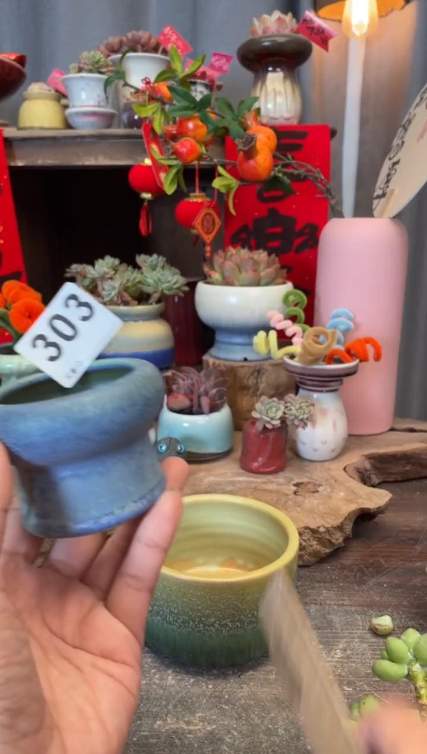 【闪购商品】摆件303知木小芳花盆