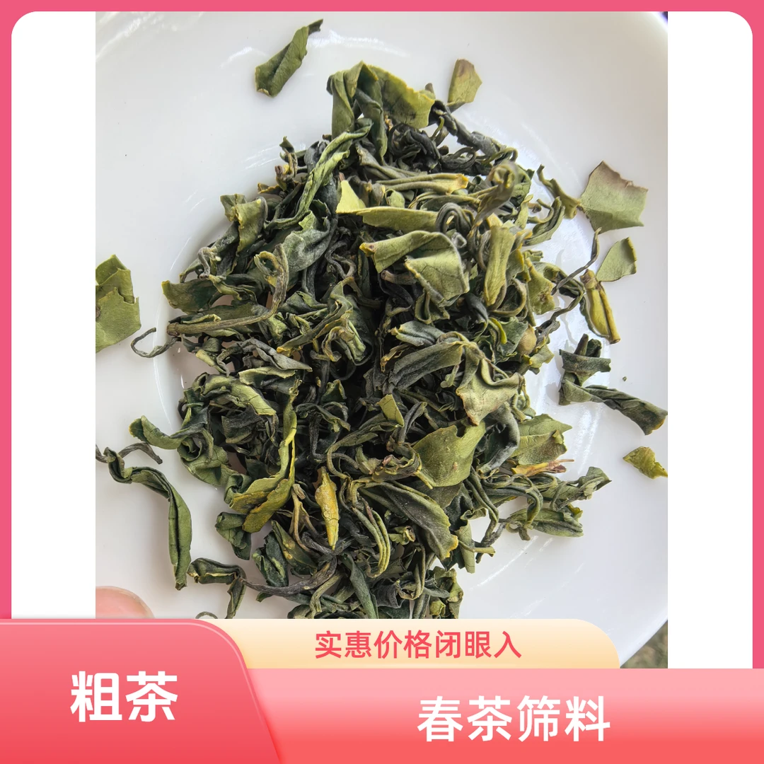 日照绿茶春茶粗茶 大叶茶