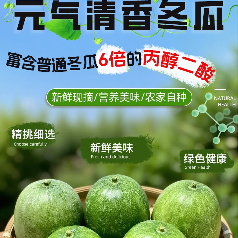 元气清甜湖北当地新鲜嫩冬瓜清甜可口当季时令蔬菜