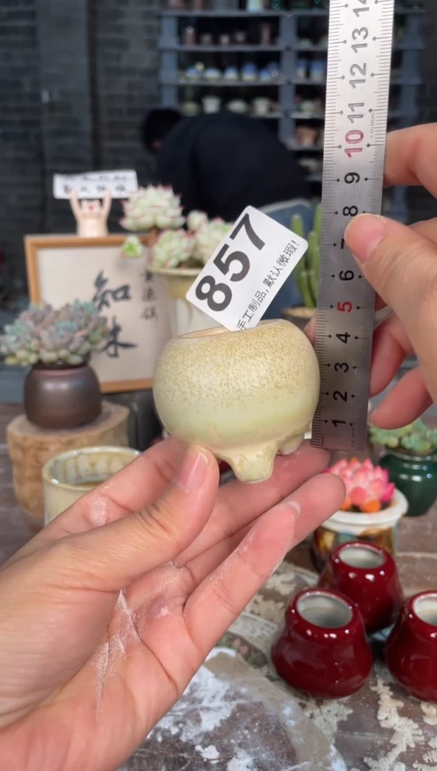 瓷片857小芳直播编号