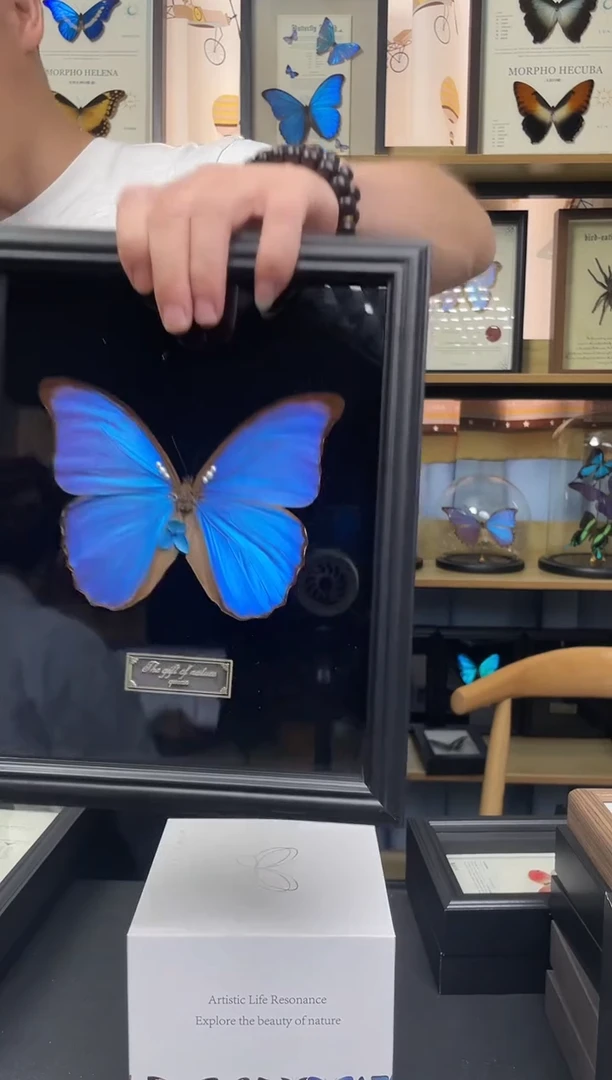 大蓝闪蝶10寸相框