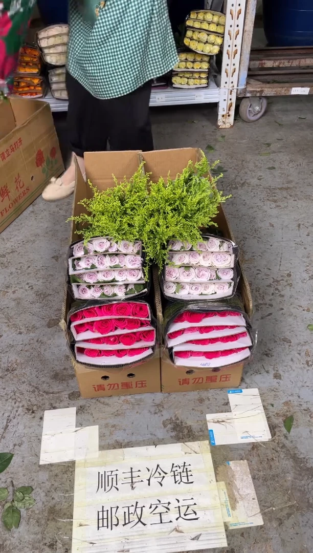 佛洛依德20枝+紫荔枝20枝+黄莺