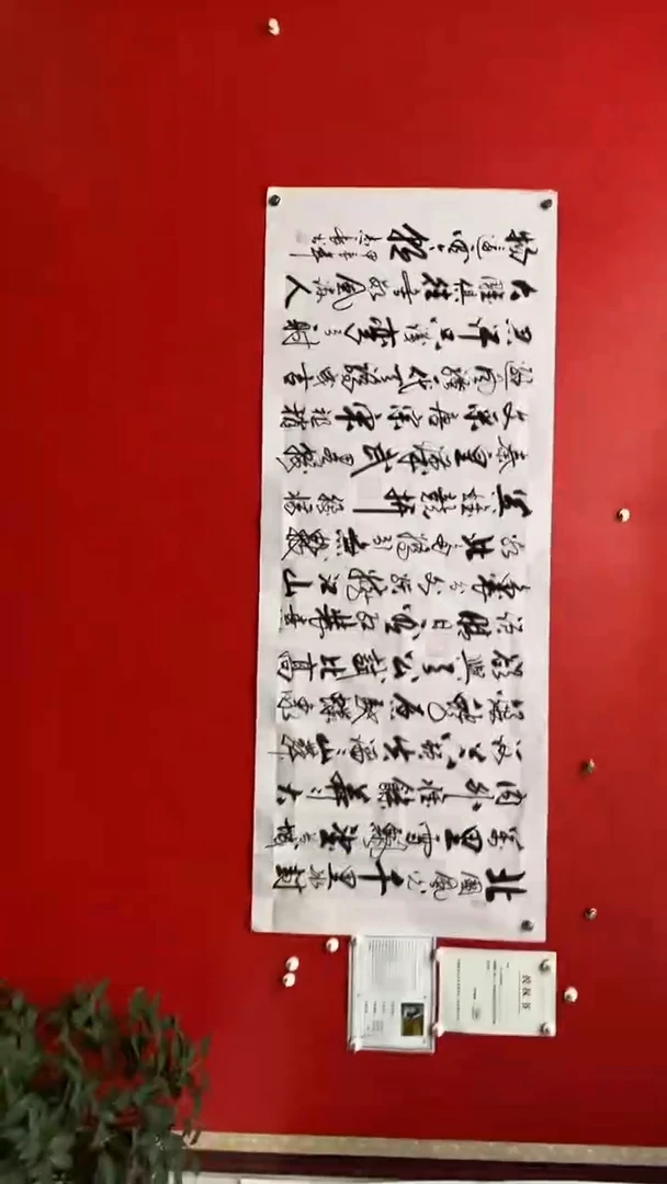 【闪购商品】书法沁园春-李志长书法