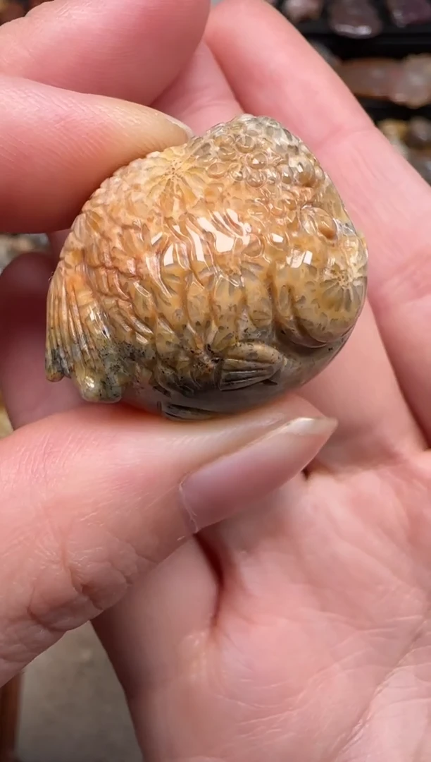 硅化珊瑚（珊瑚玉）未镶嵌颈饰208