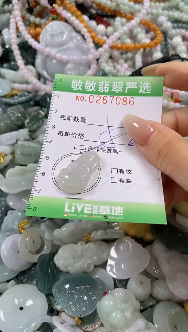 翡翠未镶嵌颈饰闪购0267086多样性发其一