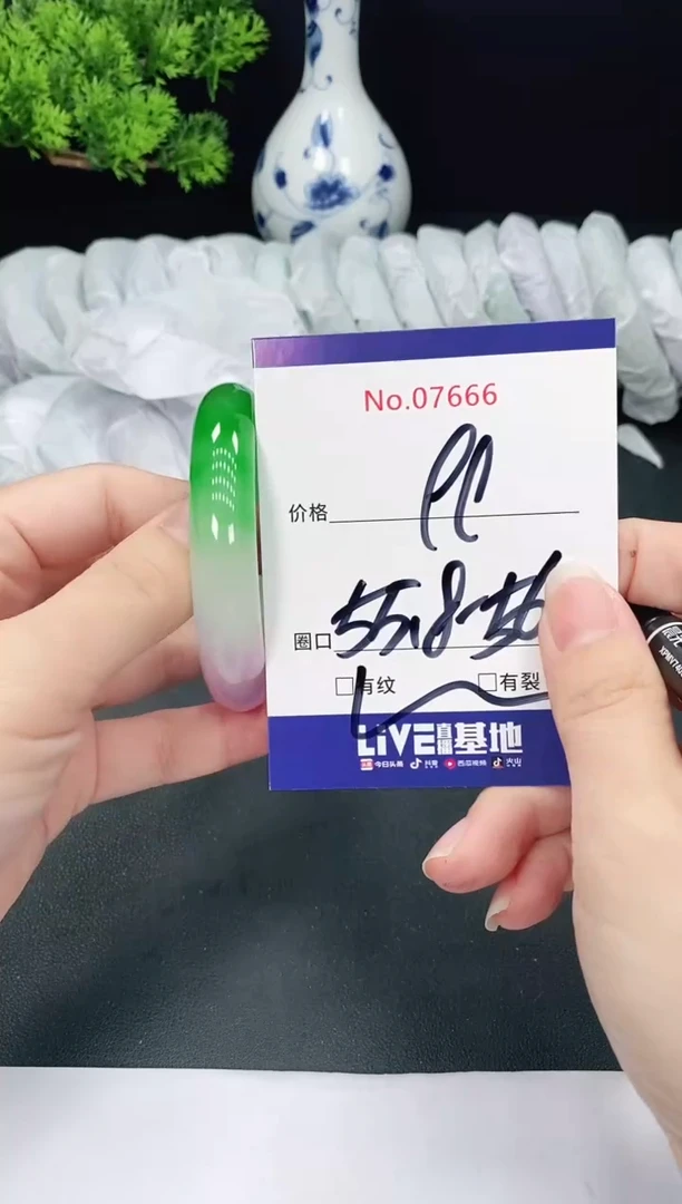 未镶嵌手镯翡翠7666