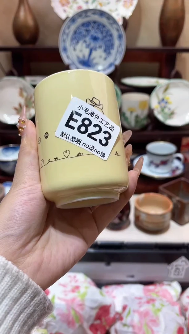 瓷片皮*多         E823