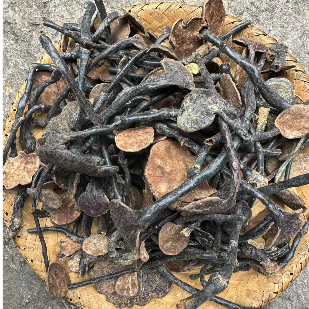 高山 农家 竹灵芝  1
