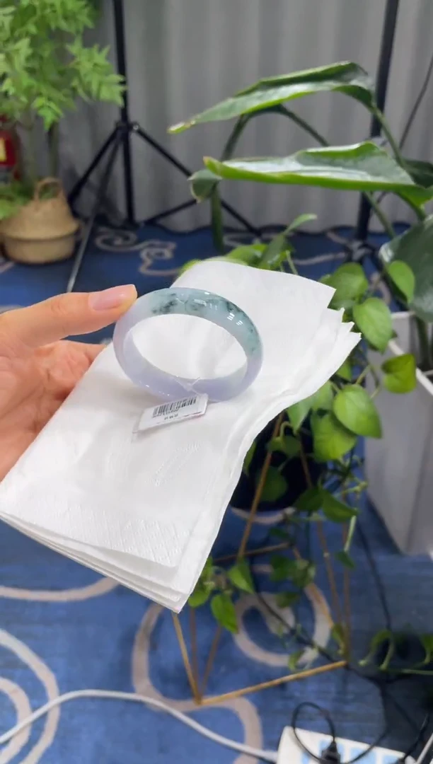 未镶嵌手镯翡翠6009