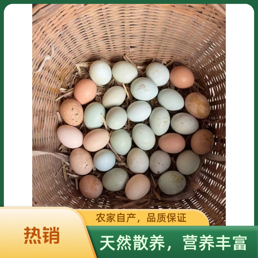 【30枚】新鲜土鸡蛋农家散养现捡现发