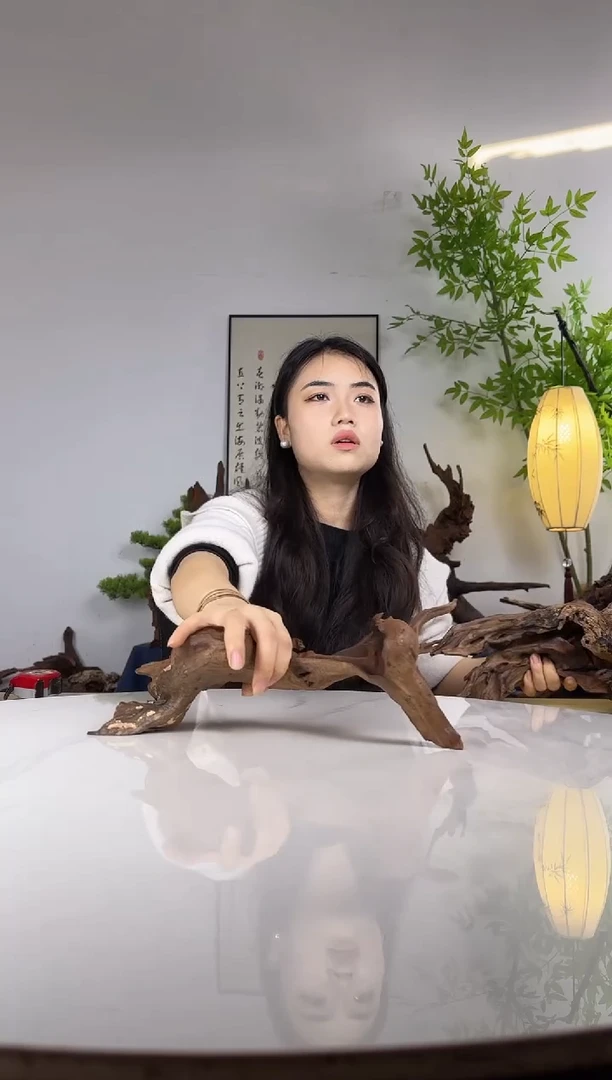 忠*拍沉木定向链接编号3