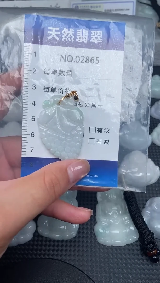 颈饰未镶嵌翡翠纯天然A货翡翠2865