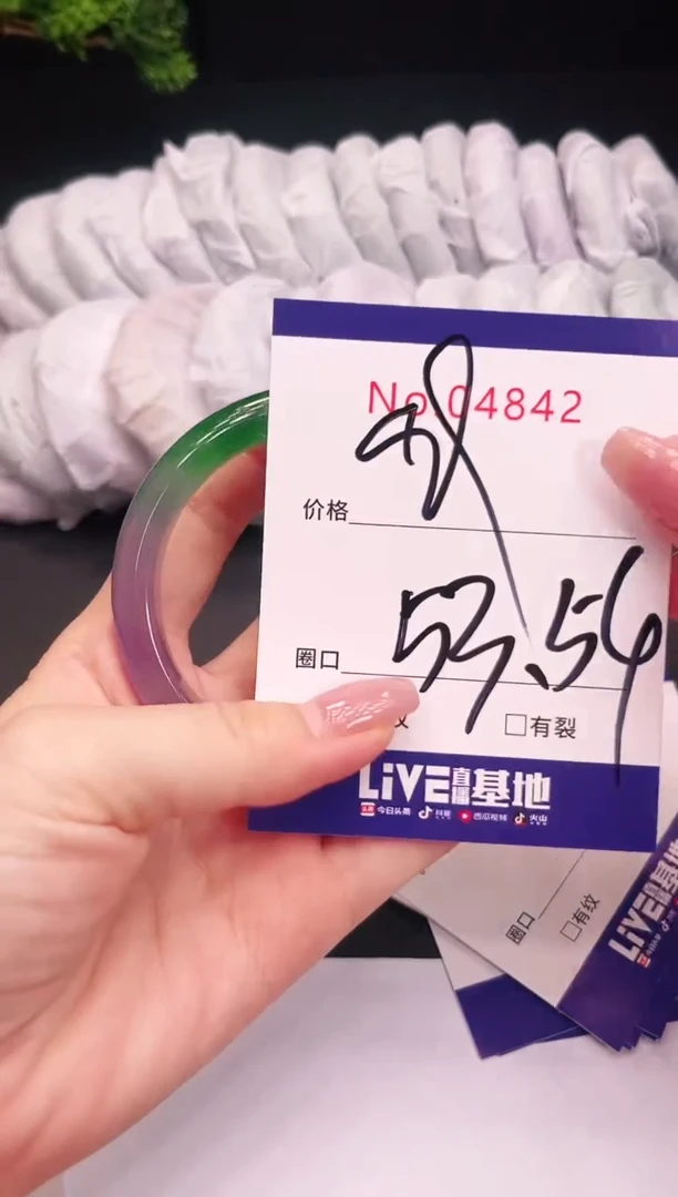 未镶嵌手镯翡翠4842