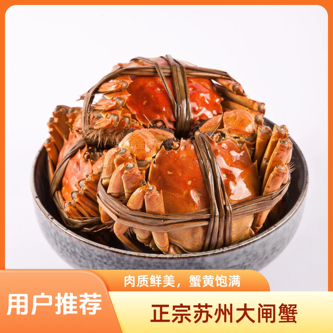【活蟹全母蟹】鲜活大闸蟹2.8-3.0两8只起江苏螃蟹顺丰京东发货