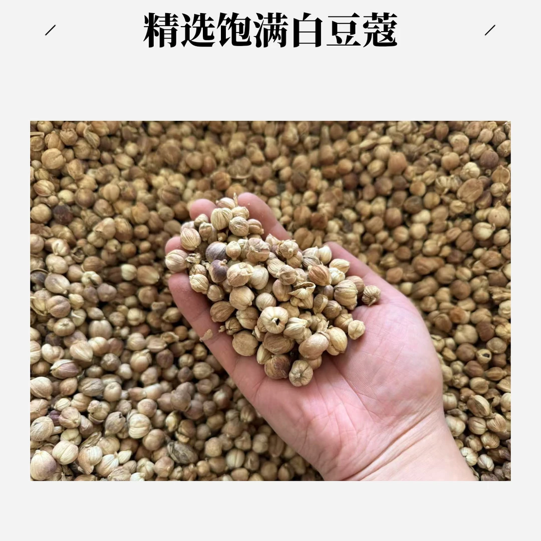 安国中药材市场批发原色豆蔻白豆蔻100-1000g