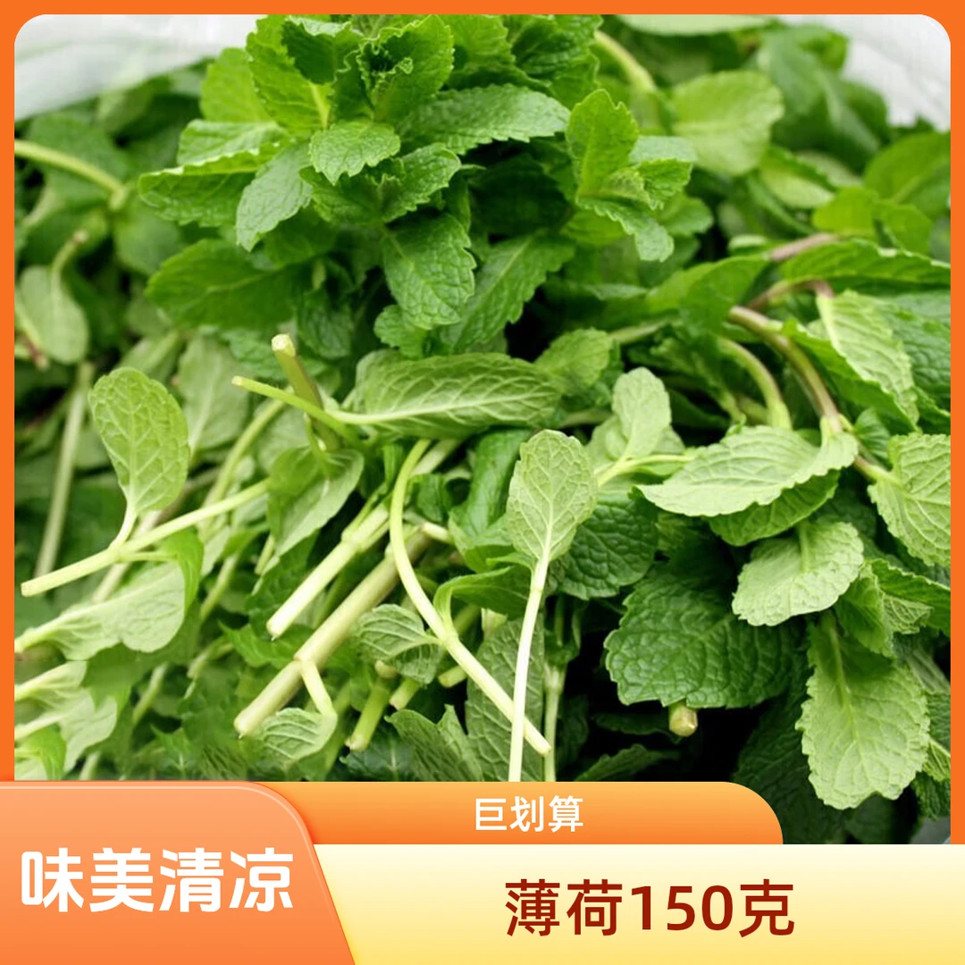 薄荷 150g/份