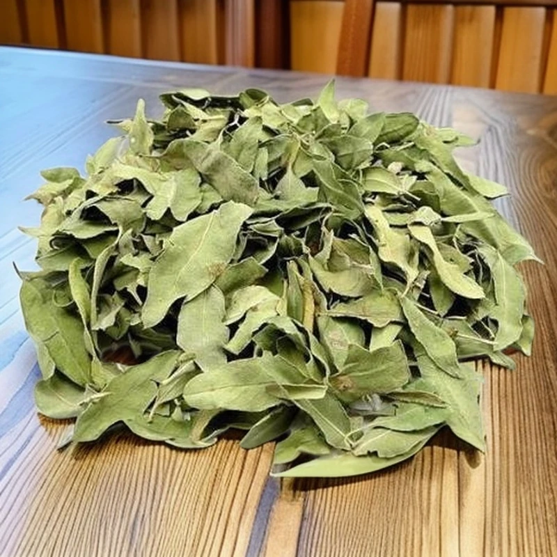 罗布麻叶 优选头茬正宗中药材中药材自然干燥泡茶