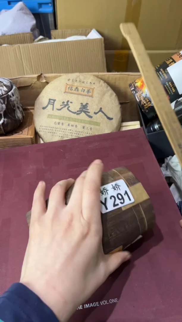 瓷片盆*291定向 盆盆定向 盆盆