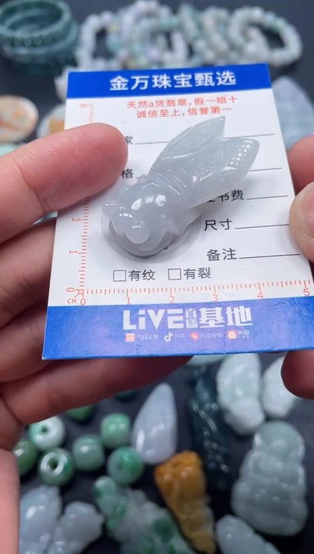 翡翠未镶嵌颈饰天然翡翠a货