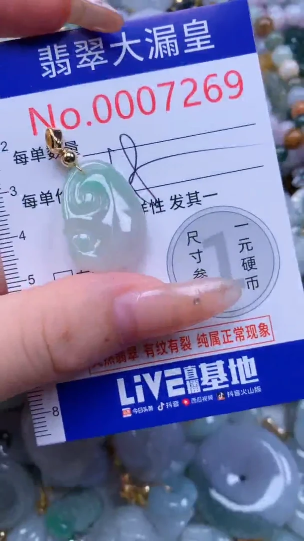 翡翠未镶嵌吊坠(不含链)7269