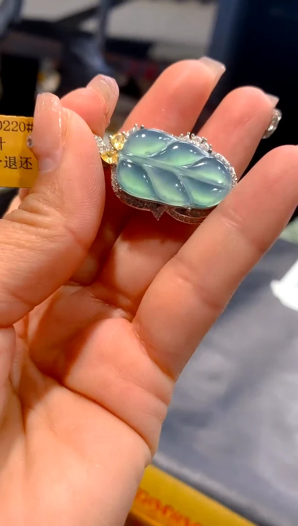 【闪购商品】定制翡翠未镶嵌17-多样性发货（发其一）