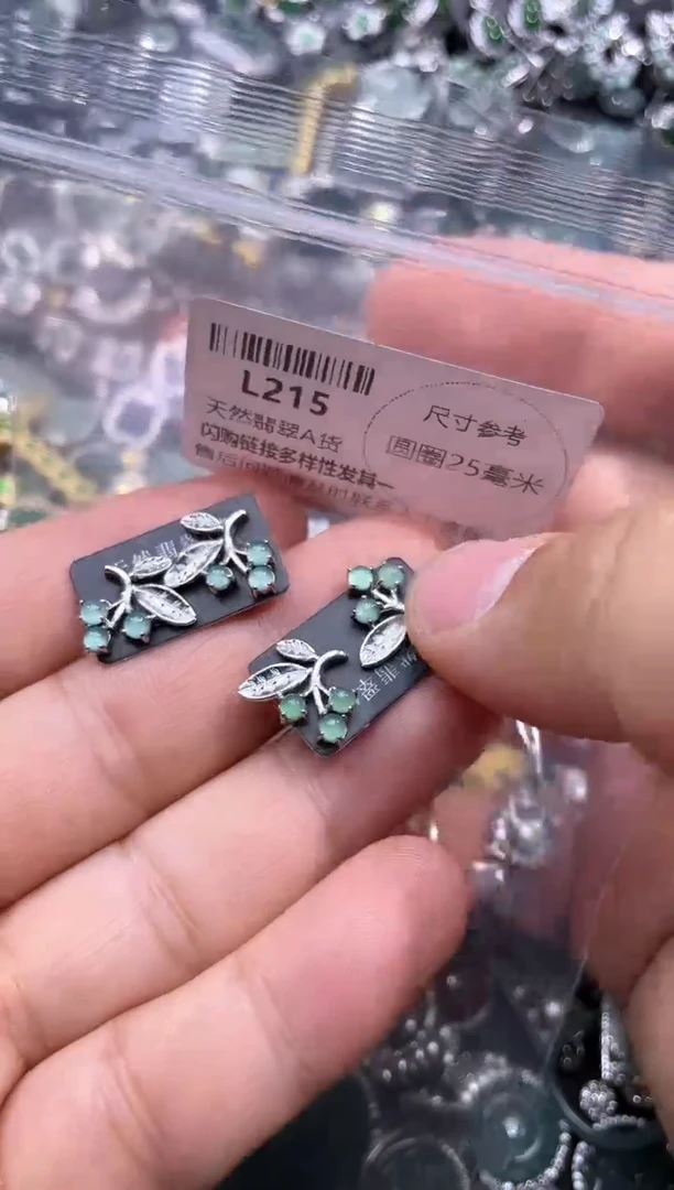 【闪购商品】翡翠颈饰未镶嵌L215耳钉 多样性发其一