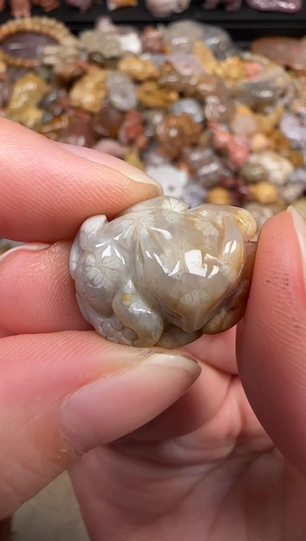 硅化珊瑚（珊瑚玉）未镶嵌颈饰291