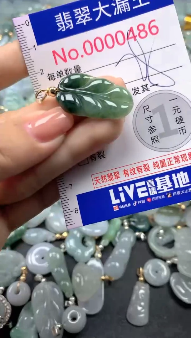 颈饰未镶嵌翡翠486