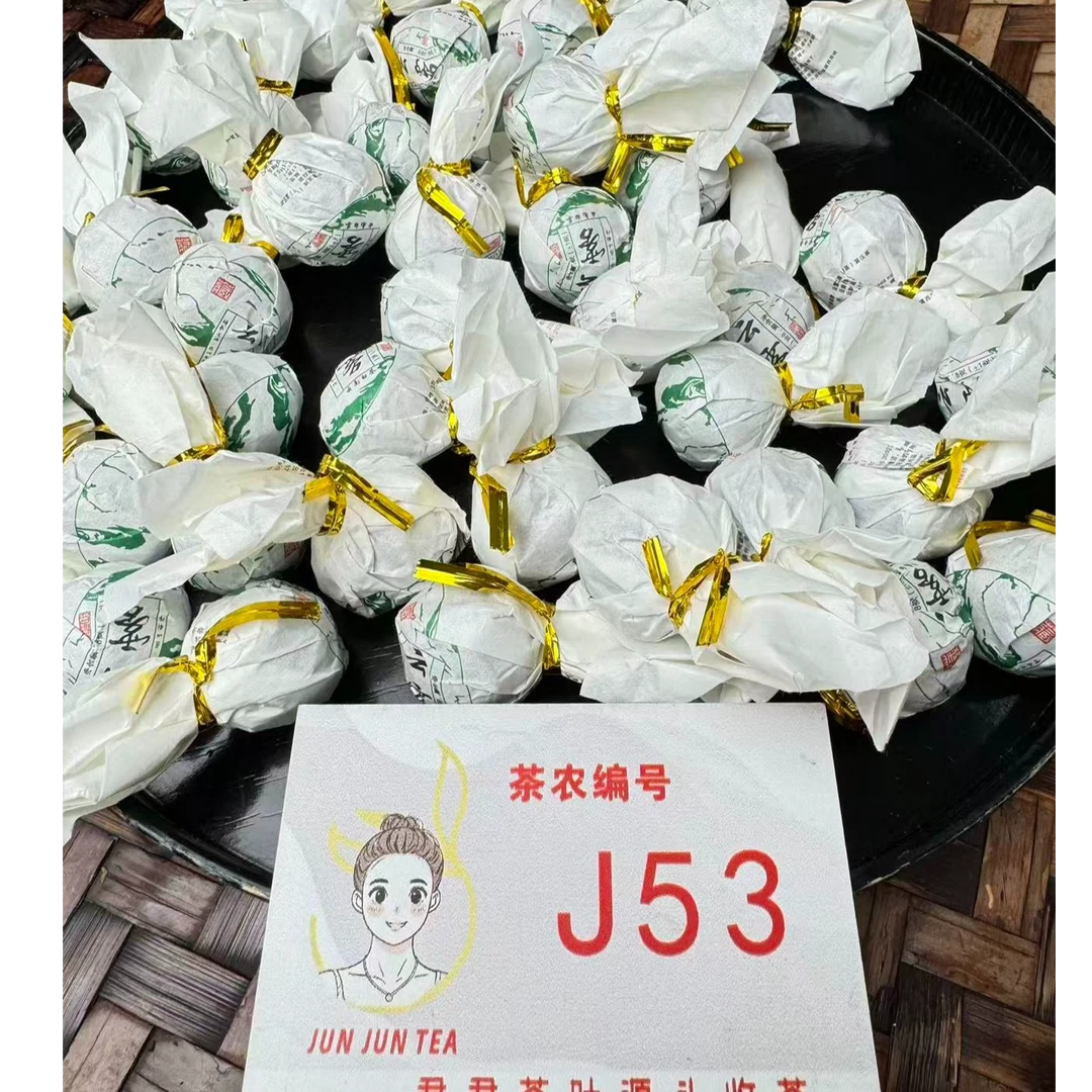 2026年白莺山白茶龙珠 5月30-J53