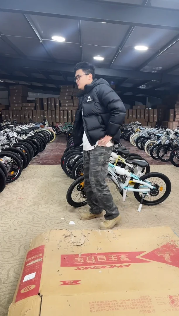 20寸-21速-灰【运损微瑕，不退不换】