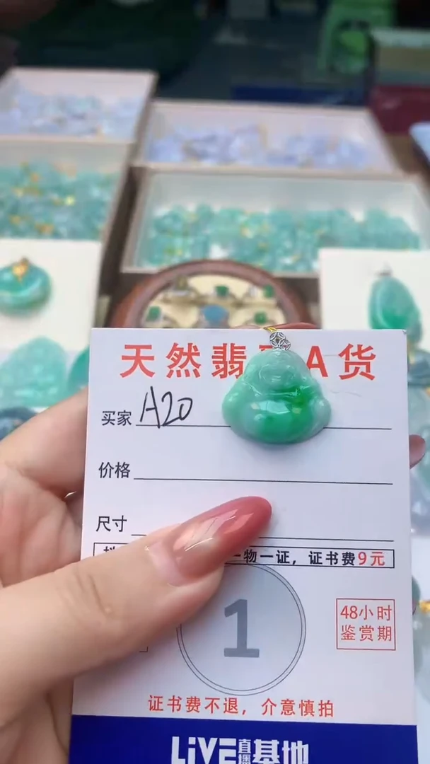 颈饰未镶嵌翡翠天然A货翡翠挂件