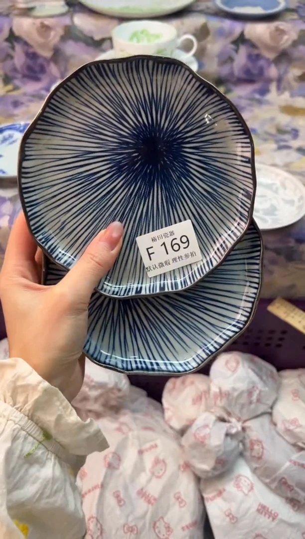 瓷片山***岩瓷片瓷片          F 169
