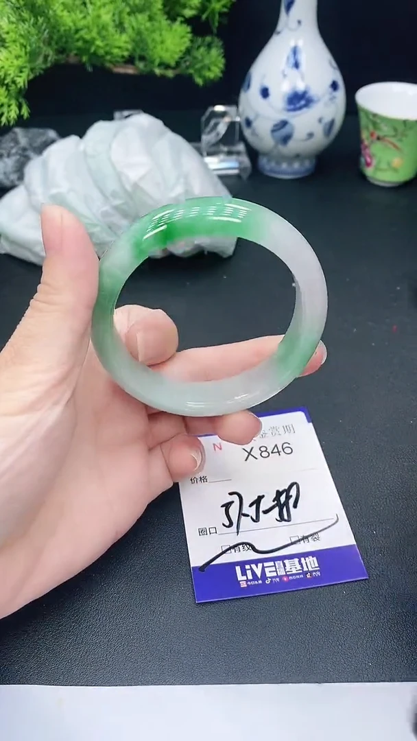 未镶嵌手镯翡翠846