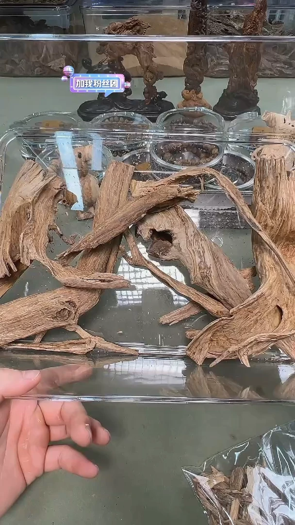 海南土熟龙鳞根原料50g装