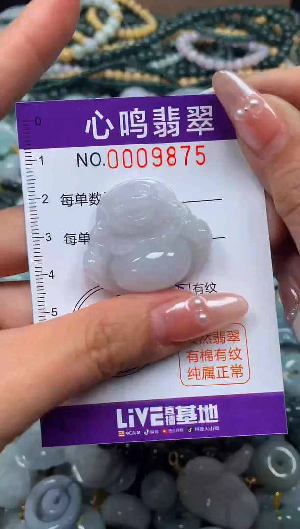 颈饰未镶嵌翡翠闪购009875