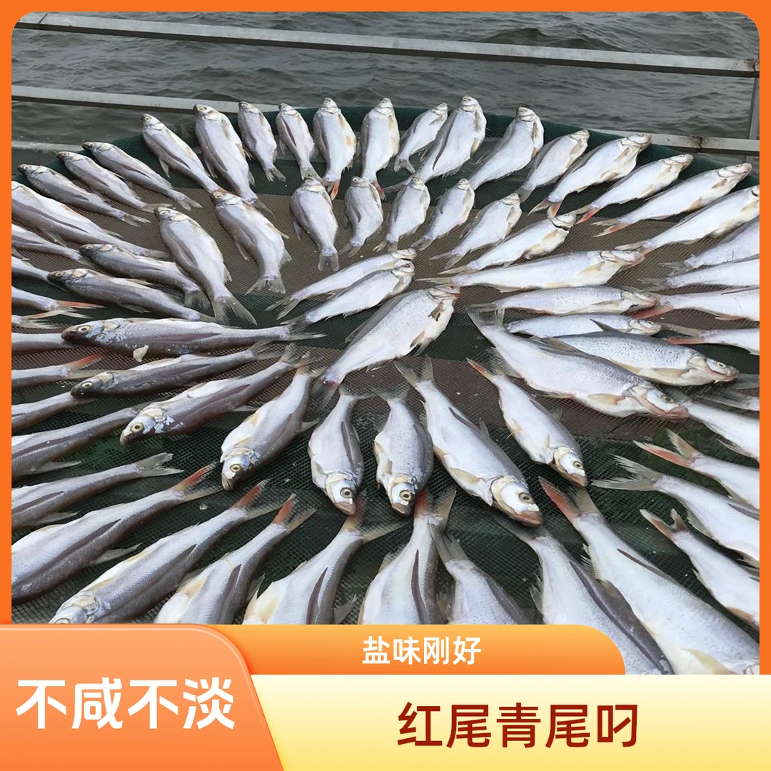 熊玉兰风干翘嘴刁自然晾晒半干免泡水岳阳特产