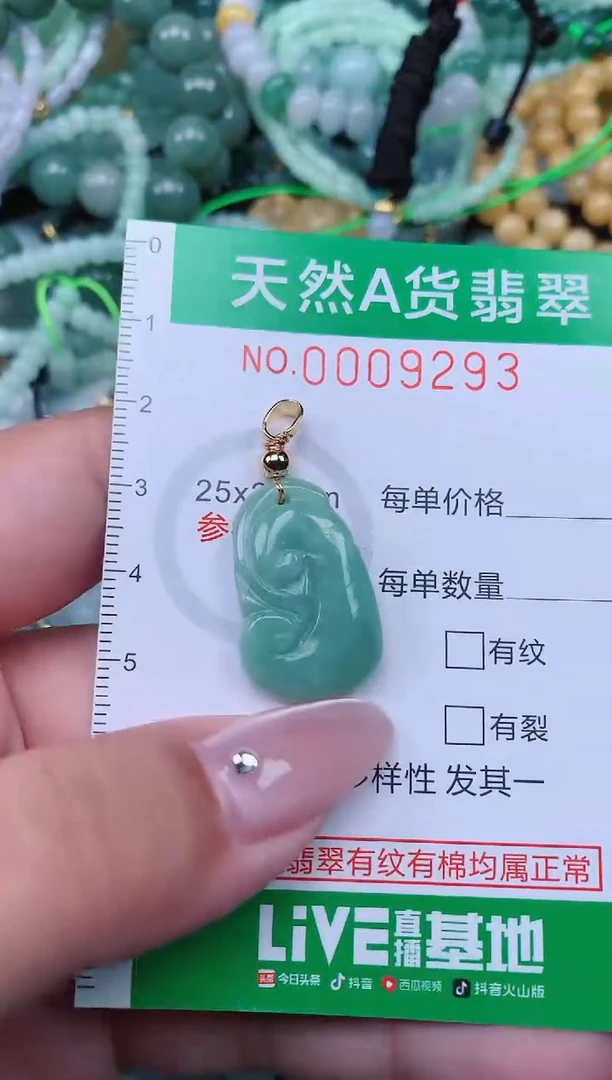 翡翠未镶嵌颈饰.0009293