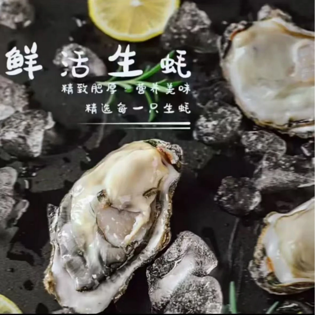 山东生蚝王每只5-9两左右【顺丰京东包邮送货上门】5斤（鲜活送）