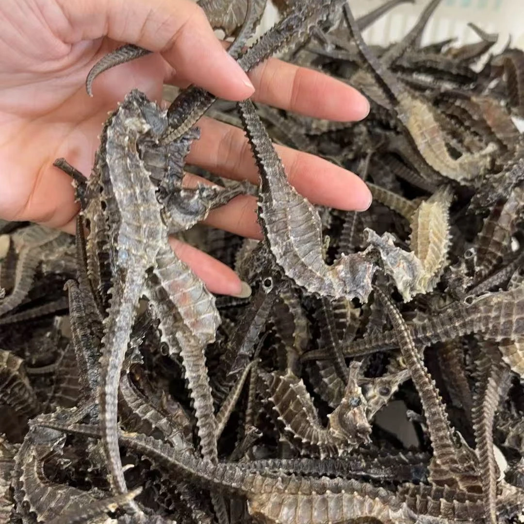 中大规格海干货马馬公母搭配可泡酒煲汤磨粉带溯源码国庆中秋送礼