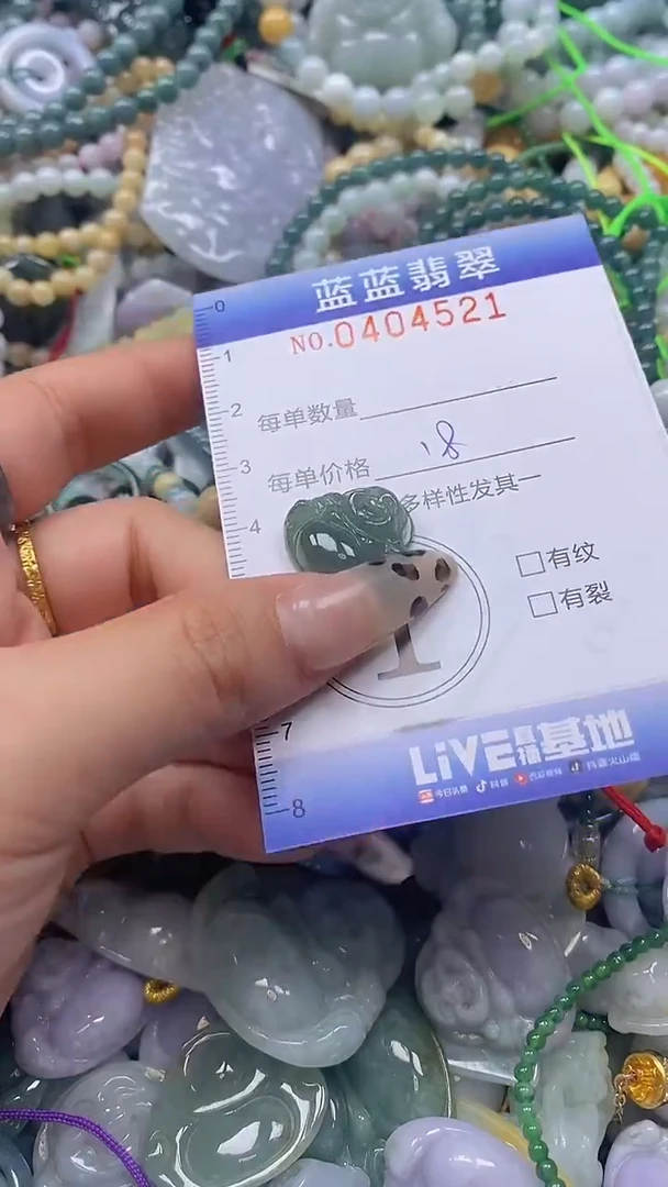 颈饰未镶嵌翡翠闪购0404521