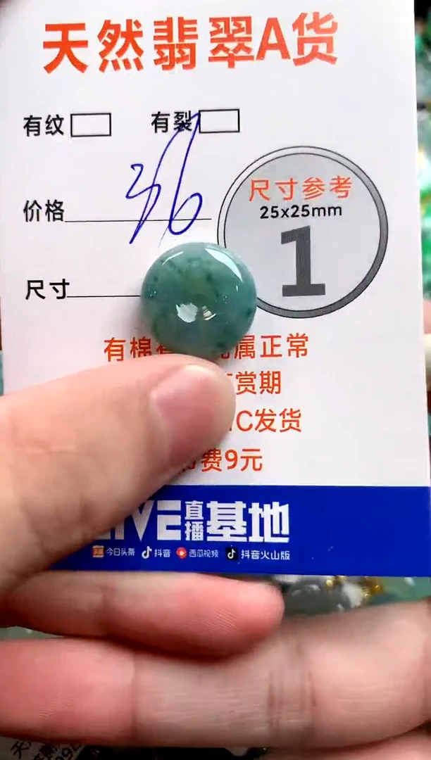 颈饰未镶嵌翡翠25100054