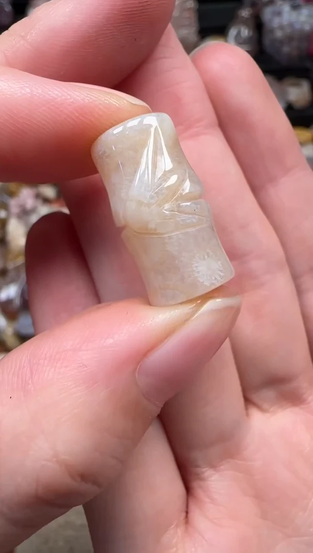 颈饰未镶嵌硅化珊瑚（珊瑚玉）303